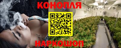 крисы Малгобек