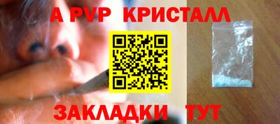 крисы Малгобек