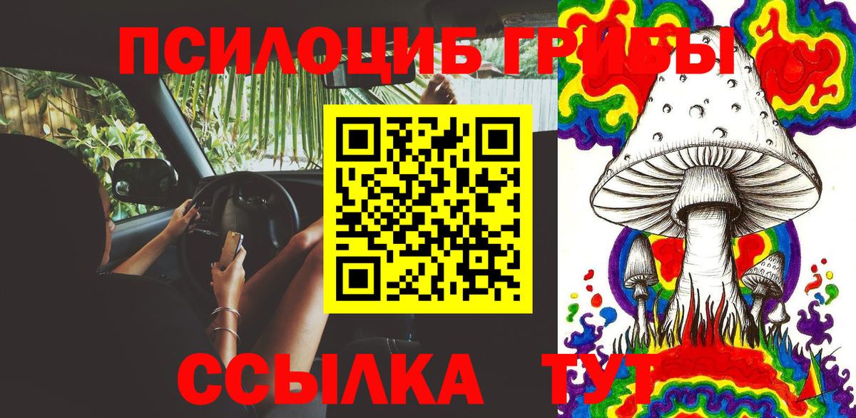 Дзержинск  Псилоцибиновые грибы Cubensis  Галлюциногенные грибы GOLDEN TEACHER  Вход с VPN 