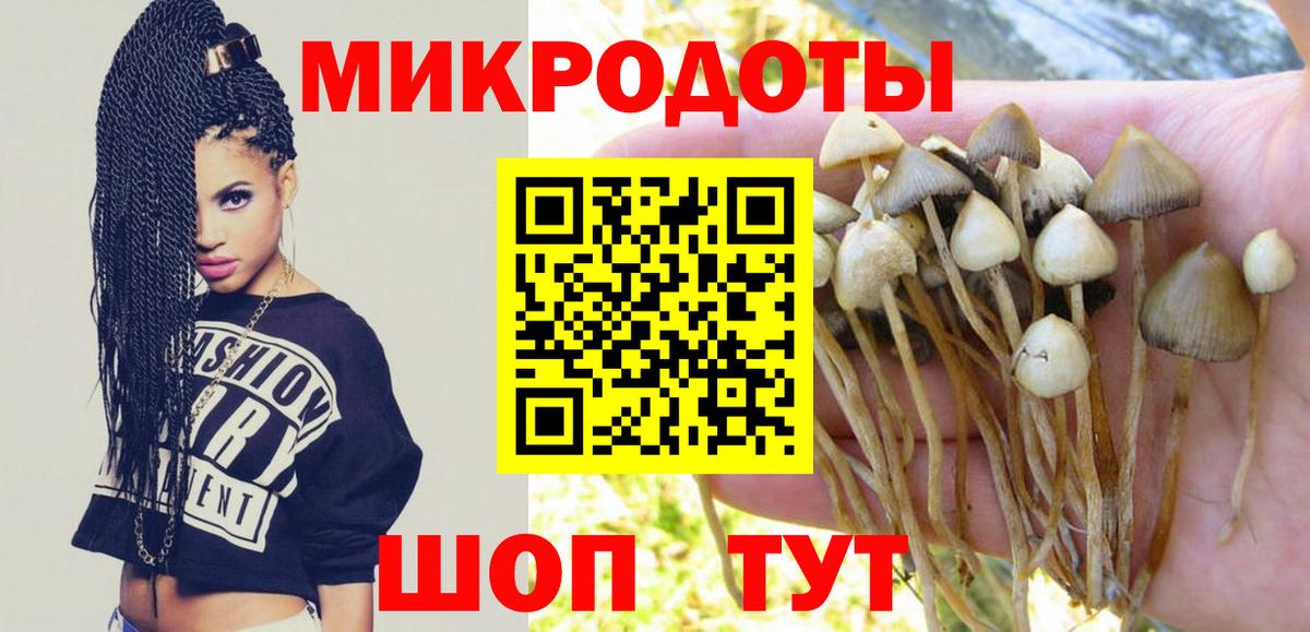 Галлюциногенные грибы MAGIC MUSHROOMS Дзержинск